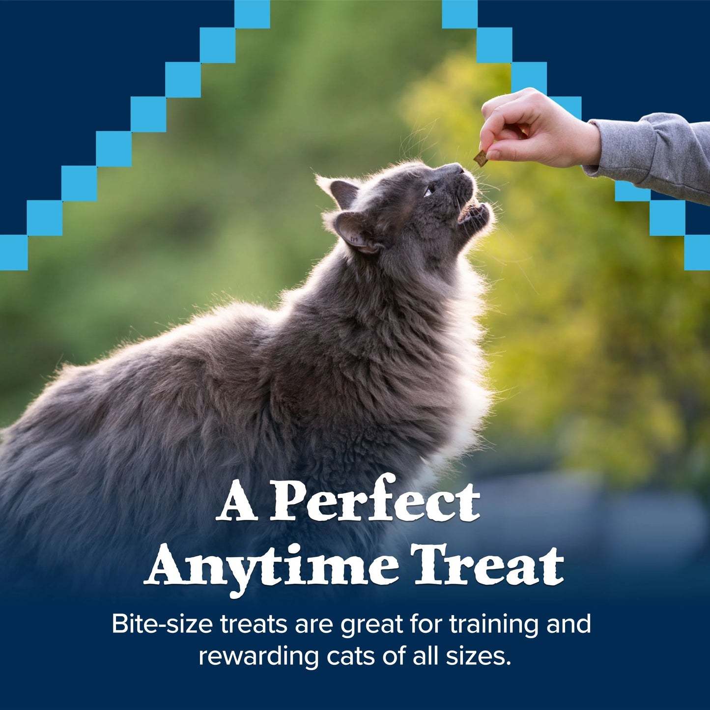 Wilderness Chicken & Salmon Flavor Dry Soft Treats for Cats, Grain-Free, 2 Oz. Bag